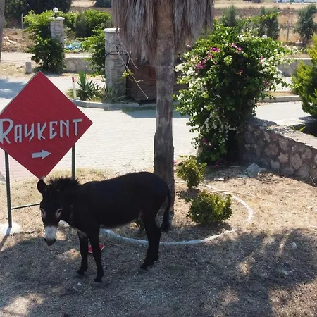 Σπίτι διακοπών Ernis - Raykent Tatil Sitesi - Kiralik *